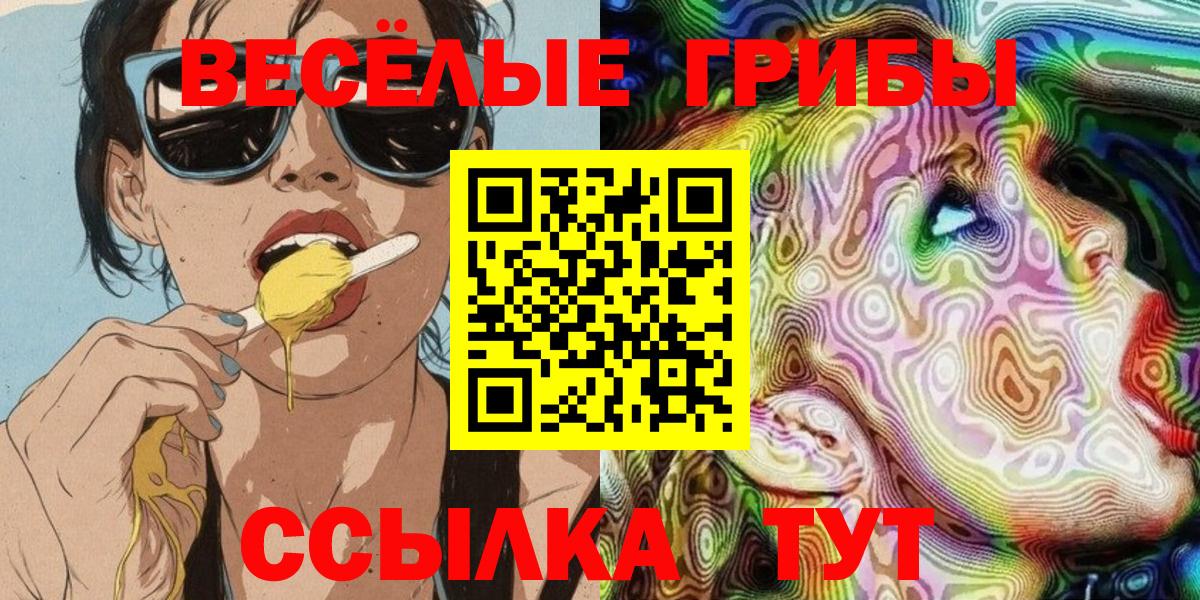 Псилоцибиновые грибы ЛСД Зима