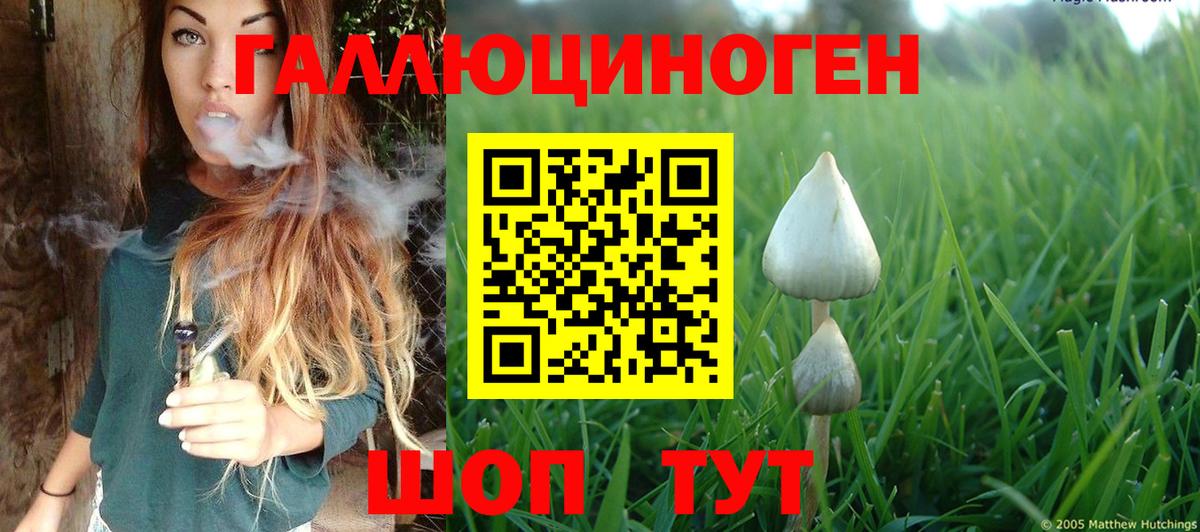 дарнет шоп  Галлюциногенные грибы MAGIC MUSHROOMS  Псилоцибиновые грибы Cubensis  Вход с VPN  Зима 
